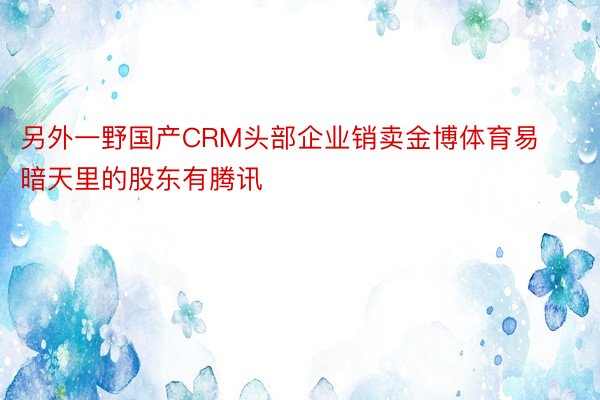 另外一野国产CRM头部企业销卖金博体育易暗天里的股东有腾讯