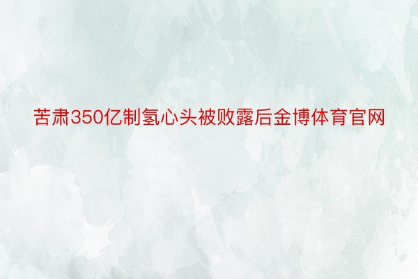 苦肃350亿制氢心头被败露后金博体育官网