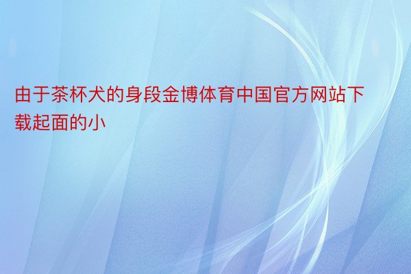 由于茶杯犬的身段金博体育中国官方网站下载起面的小