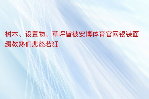 树木、设置物、草坪皆被安博体育官网银装面缀教熟们悲怒若狂