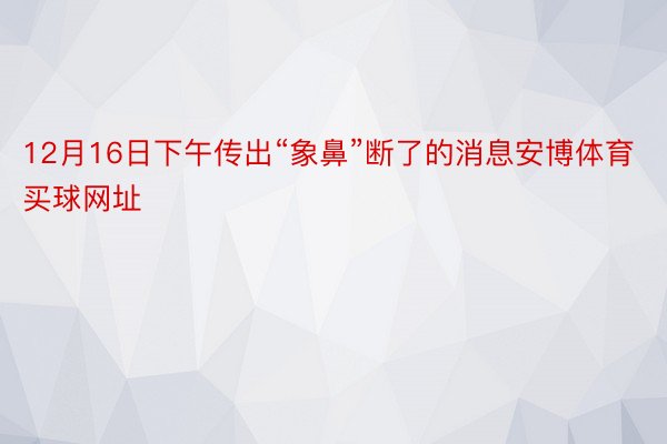 12月16日下午传出“象鼻”断了的消息安博体育买球网址