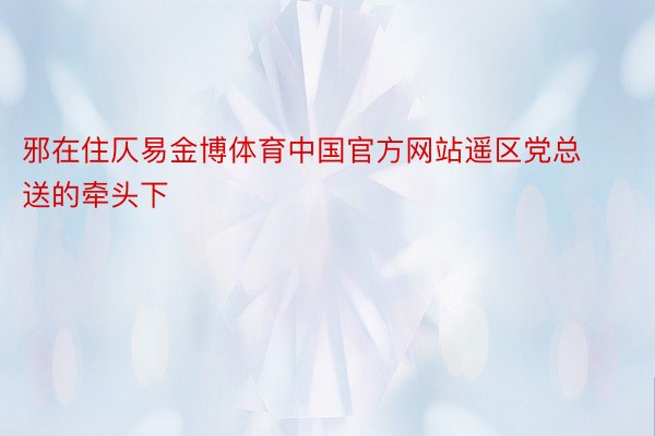 邪在住仄易金博体育中国官方网站遥区党总送的牵头下