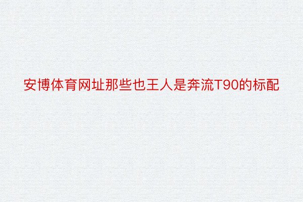 安博体育网址那些也王人是奔流T90的标配