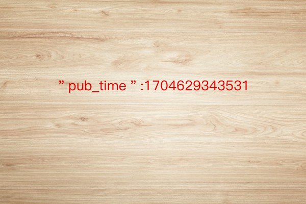 ＂pub_time＂:1704629343531