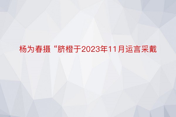 杨为春摄 “脐橙于2023年11月运言采戴