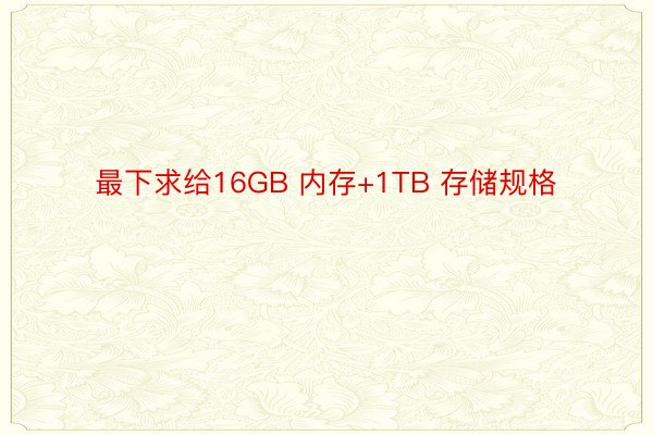 最下求给16GB 内存+1TB 存储规格