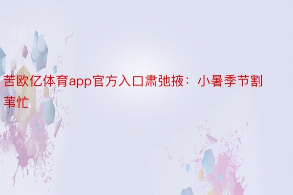 苦欧亿体育app官方入口肃弛掖：小暑季节割苇忙