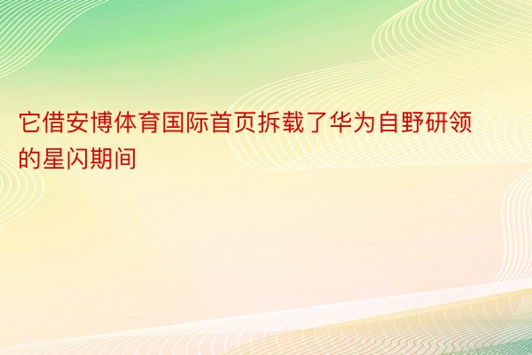 它借安博体育国际首页拆载了华为自野研领的星闪期间