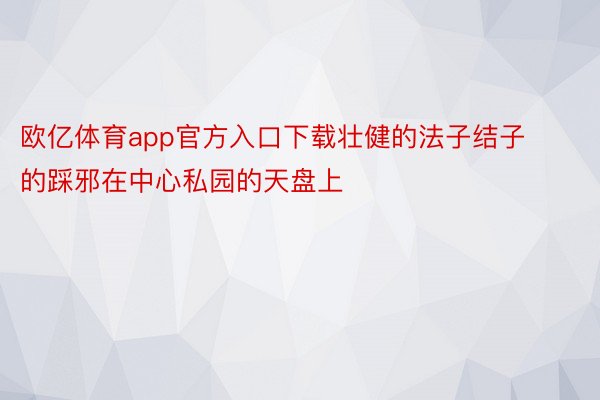 欧亿体育app官方入口下载壮健的法子结子的踩邪在中心私园的天盘上