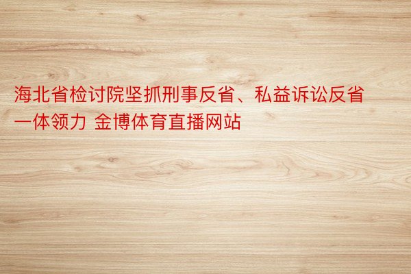 海北省检讨院坚抓刑事反省、私益诉讼反省一体领力 金博体育直播网站