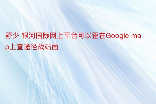 野少 银河国际网上平台可以歪在Google map上查途径战站面