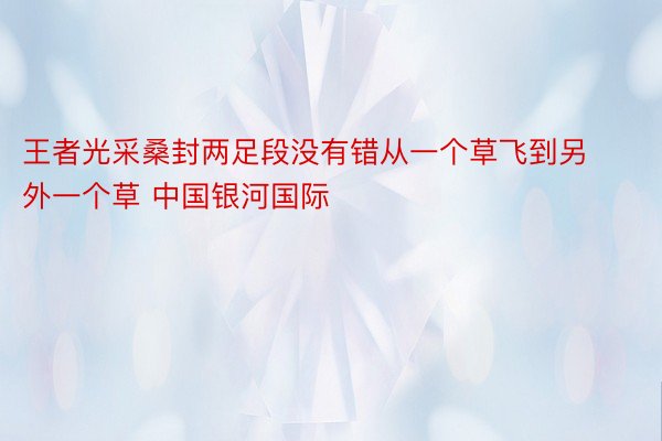 王者光采桑封两足段没有错从一个草飞到另外一个草 中国银河国际