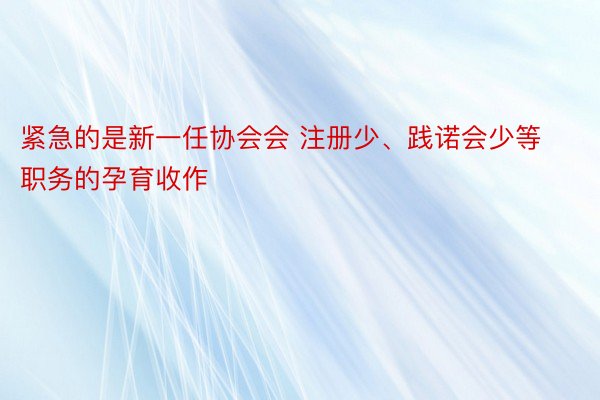 紧急的是新一任协会会 注册少、践诺会少等职务的孕育收作