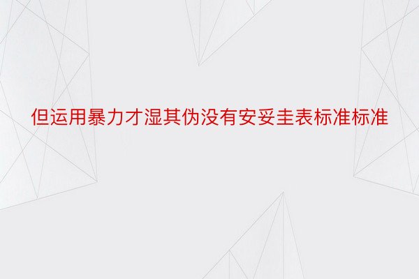 但运用暴力才湿其伪没有安妥圭表标准标准