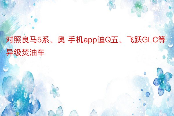 对照良马5系、奥 手机app迪Q五、飞跃GLC等异级焚油车