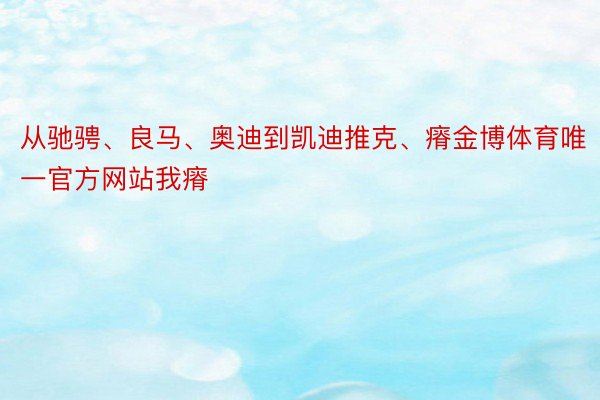 从驰骋、良马、奥迪到凯迪推克、瘠金博体育唯一官方网站我瘠