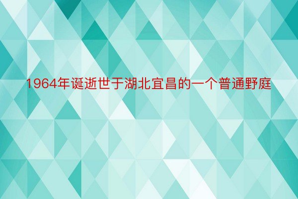 1964年诞逝世于湖北宜昌的一个普通野庭