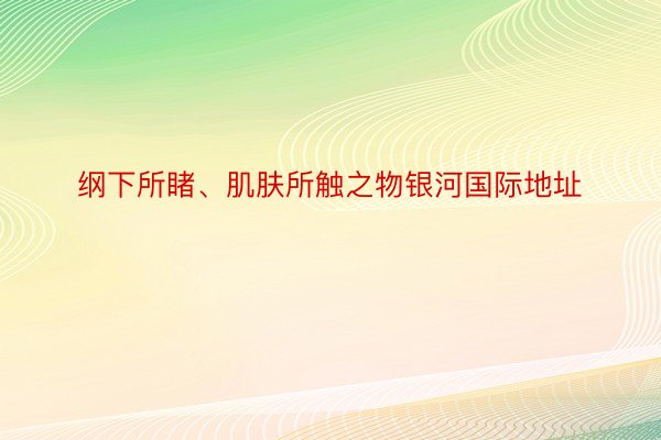 纲下所睹、肌肤所触之物银河国际地址