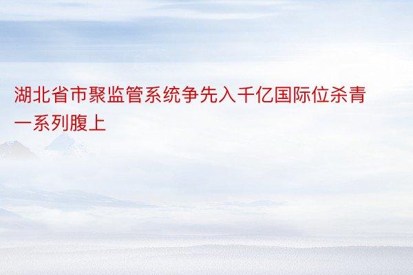 湖北省市聚监管系统争先入千亿国际位杀青一系列腹上