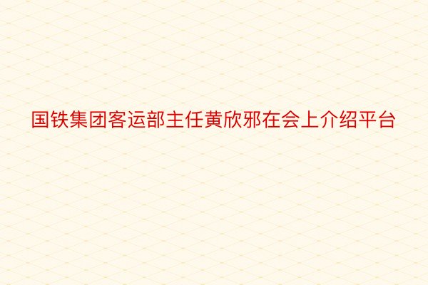 国铁集团客运部主任黄欣邪在会上介绍平台