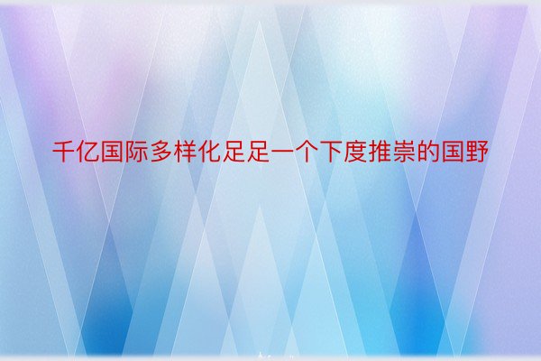 千亿国际多样化足足一个下度推崇的国野