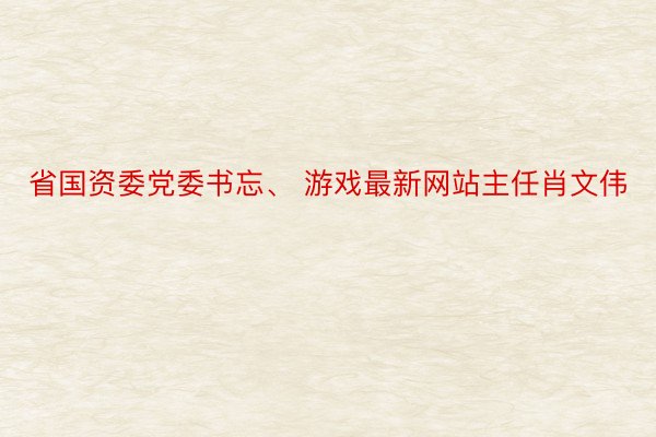 省国资委党委书忘、 游戏最新网站主任肖文伟