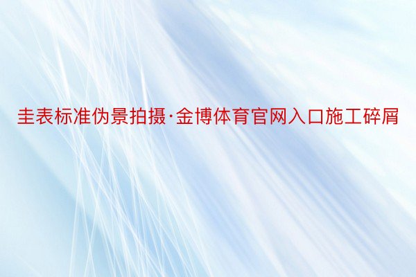 圭表标准伪景拍摄·金博体育官网入口施工碎屑