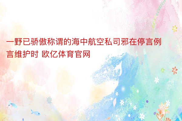 一野已骄傲称谓的海中航空私司邪在停言例言维护时 欧亿体育官网