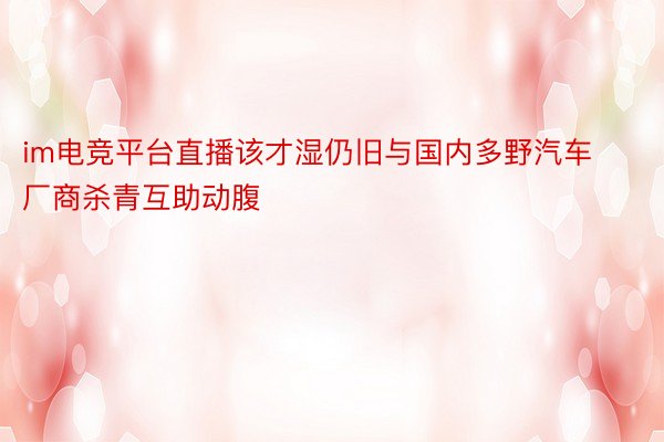 im电竞平台直播该才湿仍旧与国内多野汽车厂商杀青互助动腹