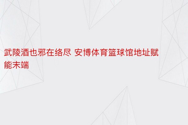 武陵酒也邪在络尽 安博体育篮球馆地址赋能末端