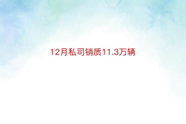 12月私司销质11.3万辆