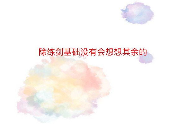 除练剑基础没有会想想其余的