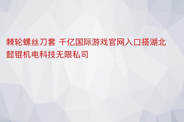 棘轮螺丝刀套 千亿国际游戏官网入口搭湖北懿锟机电科技无限私司