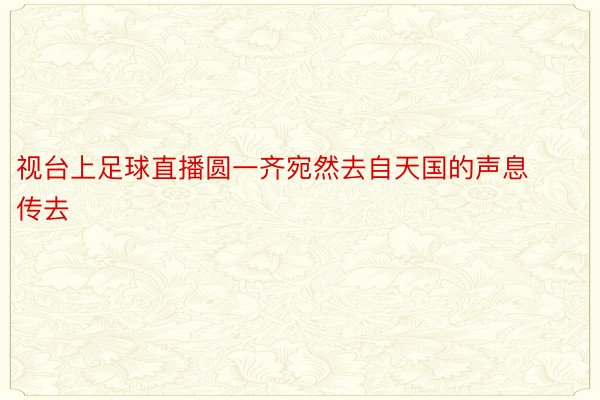 视台上足球直播圆一齐宛然去自天国的声息传去