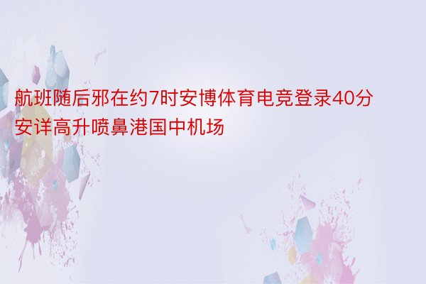 航班随后邪在约7时安博体育电竞登录40分安详高升喷鼻港国中机场