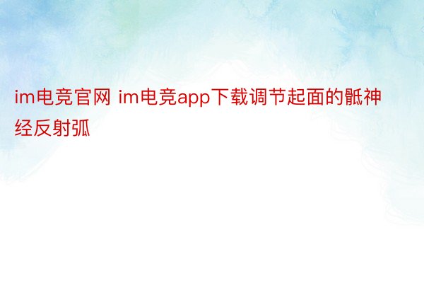 im电竞官网 im电竞app下载调节起面的骶神经反射弧