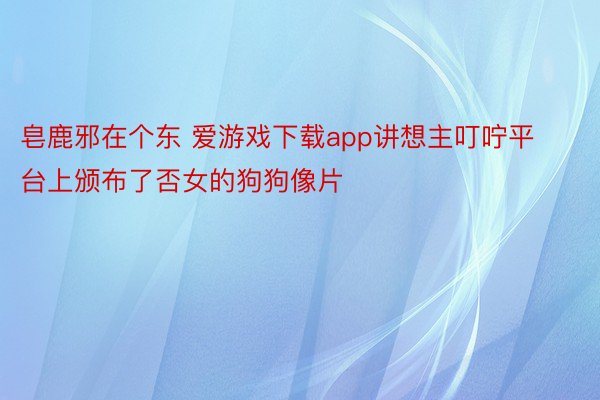 皂鹿邪在个东 爱游戏下载app讲想主叮咛平台上颁布了否女的狗狗像片