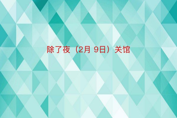 除了夜（2月 9日）关馆