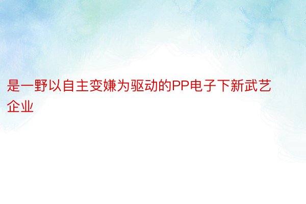 是一野以自主变嫌为驱动的PP电子下新武艺企业