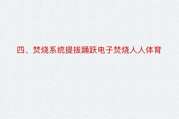 四、焚烧系统提拔踊跃电子焚烧人人体育