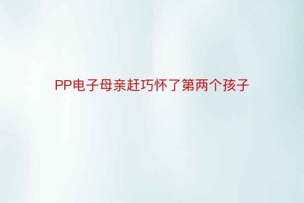 PP电子母亲赶巧怀了第两个孩子