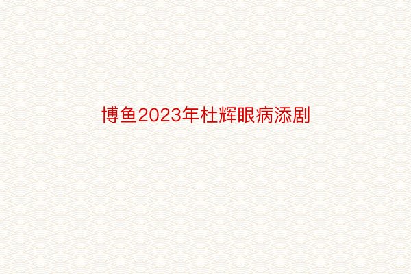 博鱼2023年杜辉眼病添剧