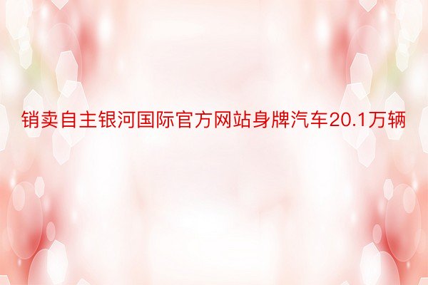 销卖自主银河国际官方网站身牌汽车20.1万辆