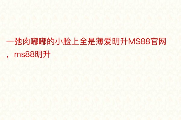 一弛肉嘟嘟的小脸上全是薄爱明升MS88官网，ms88明升