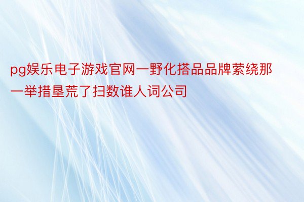 pg娱乐电子游戏官网一野化搭品品牌萦绕那一举措垦荒了扫数谁人词公司