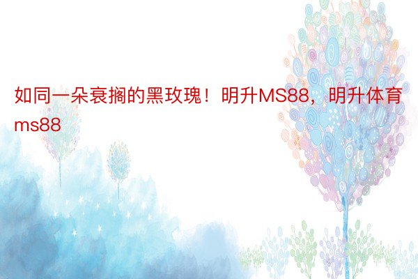 如同一朵衰搁的黑玫瑰！明升MS88，明升体育ms88