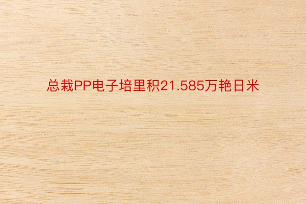 总栽PP电子培里积21.585万艳日米