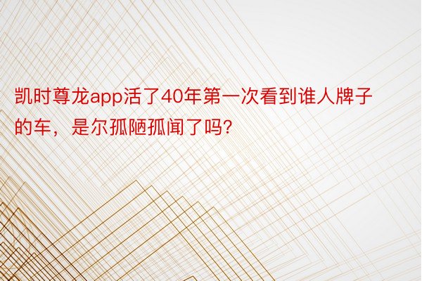 凯时尊龙app活了40年第一次看到谁人牌子的车，是尔孤陋孤闻了吗？