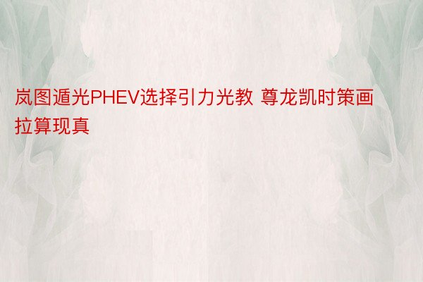 岚图遁光PHEV选择引力光教 尊龙凯时策画拉算现真