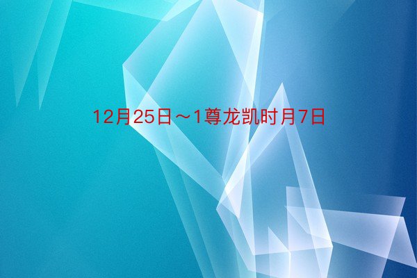 12月25日～1尊龙凯时月7日